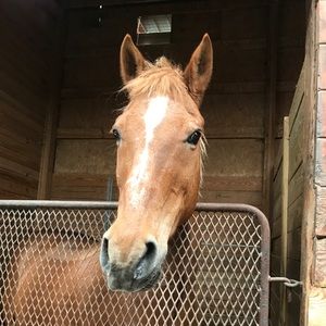 Meet your Posher, Emma